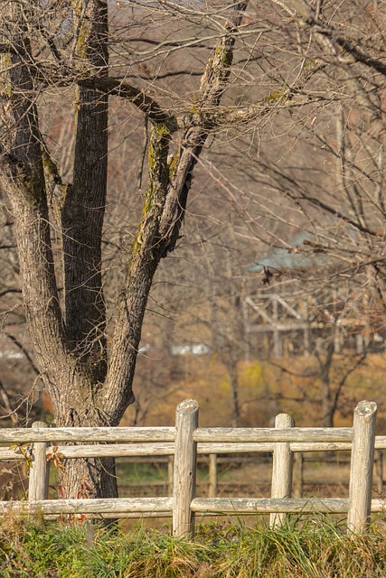 wood fence