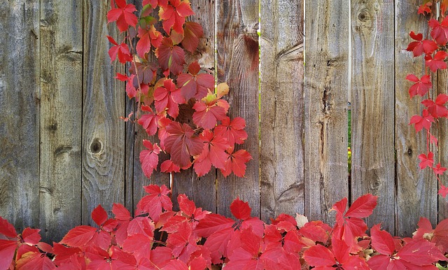 wood fence