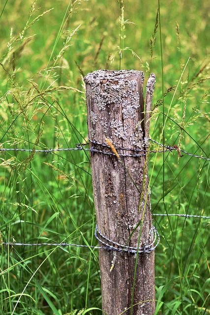 wooden fencing
