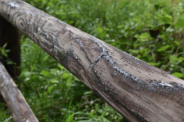 wooden fencing