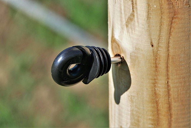 wooden fencing
