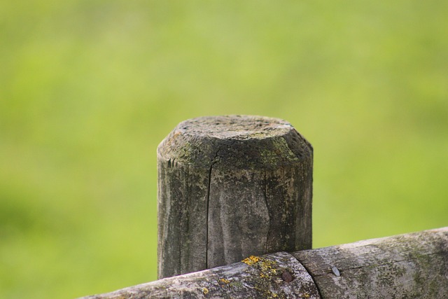 wooden fencing