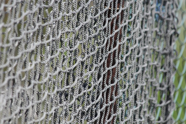 wooden fencing